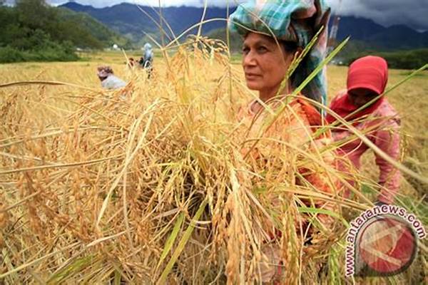 Harga Komoditas Pertanian Pengaruhi Keuangan Petani